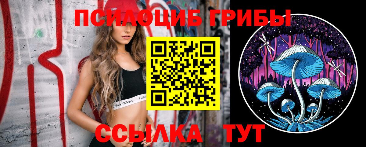 Алейск  Галлюциногенные грибы Psilocybe  Вход с VPN 